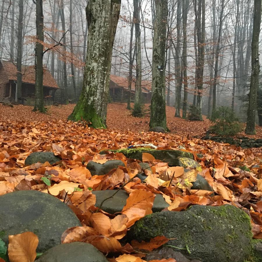База Відпочинку Шиповець Poroshkovo Dış mekan fotoğraf