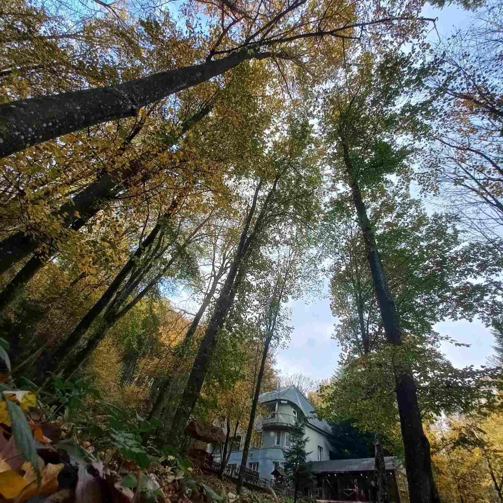База Відпочинку Шиповець Poroshkovo Dış mekan fotoğraf